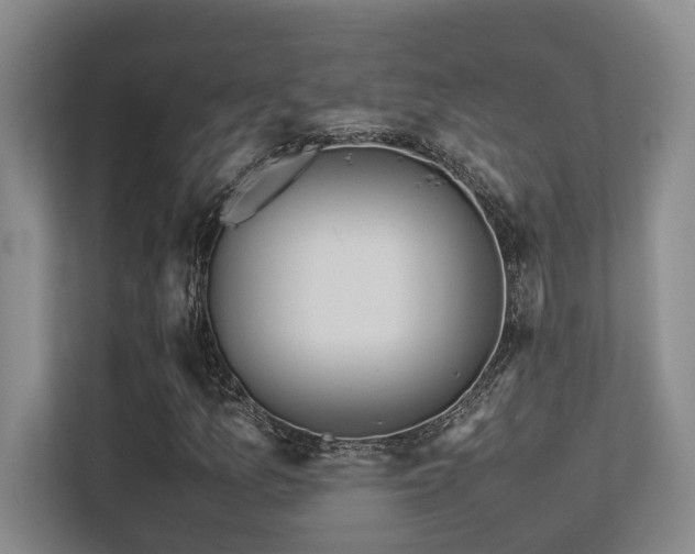 X0000113211157200909101126