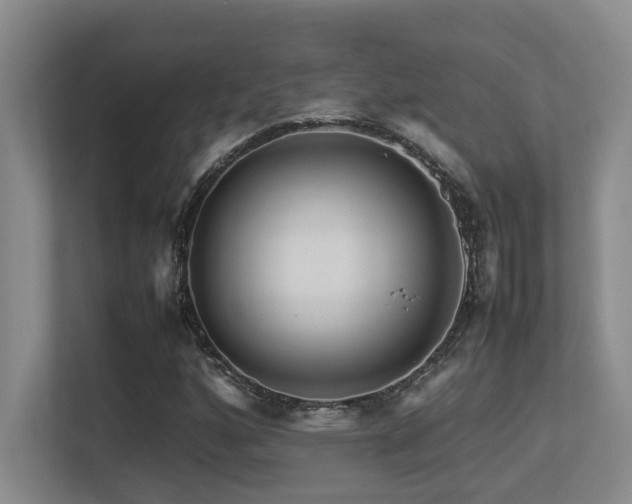 X0000113211160200909101126