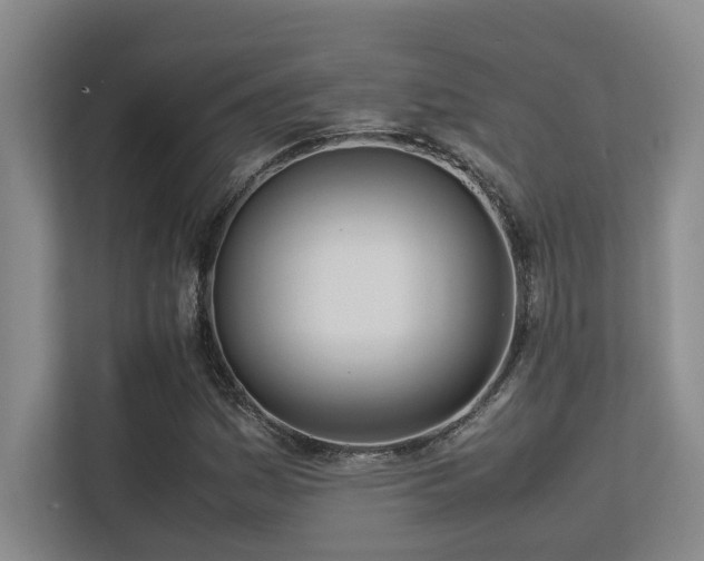 X0000113211161200909101126