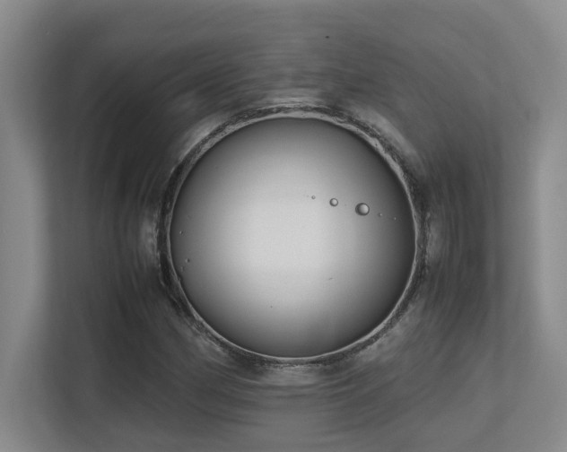 X0000113211162200909101126