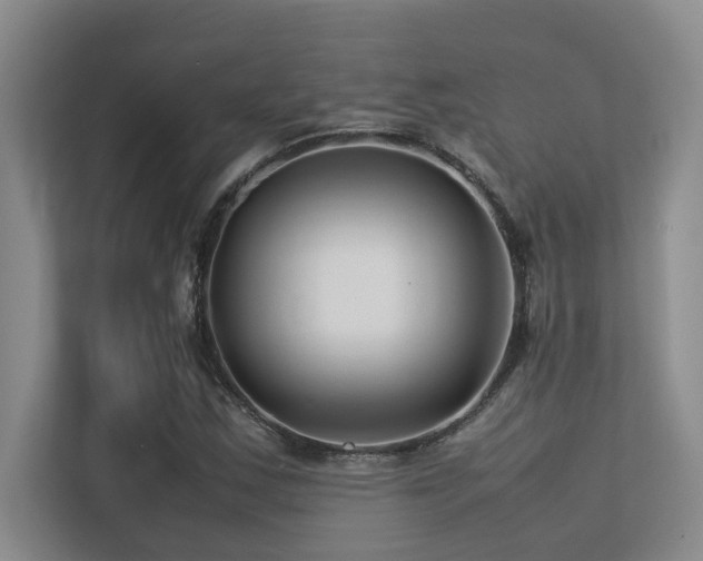 X0000113211163200909101126