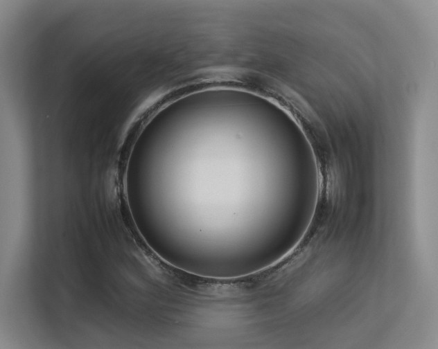 X0000113211164200909101126