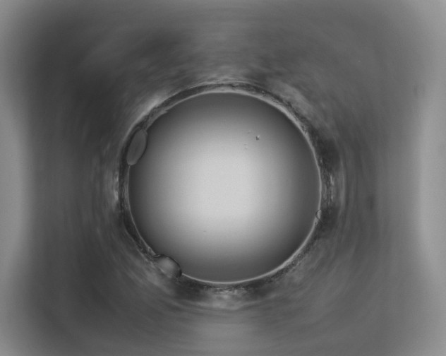 X0000113211165200909101126