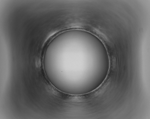 X0000113211166200909101126