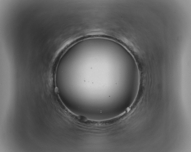 X0000113211167200909101126