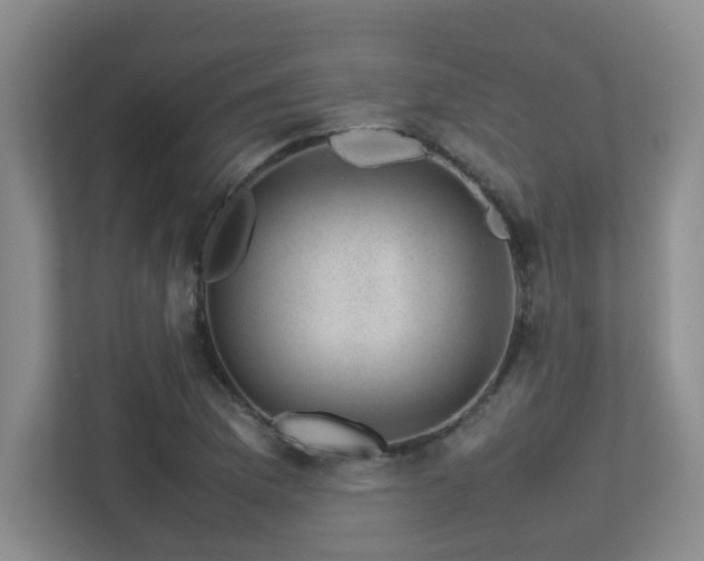 X0000113211169200909101126