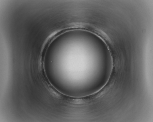 X0000113211172200909101126