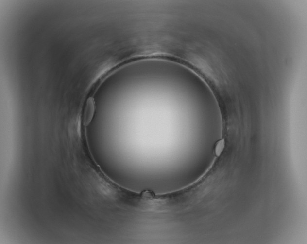 X0000113211173200909101126