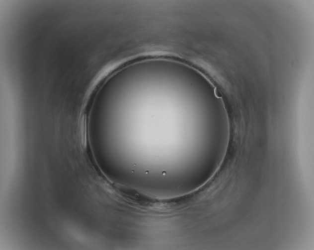 X0000113211175200909101126