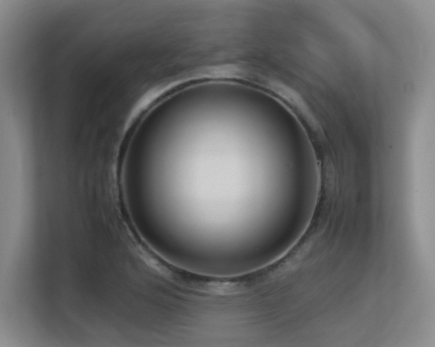 X0000113211176200909101126