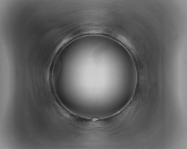X0000113211181200909101126