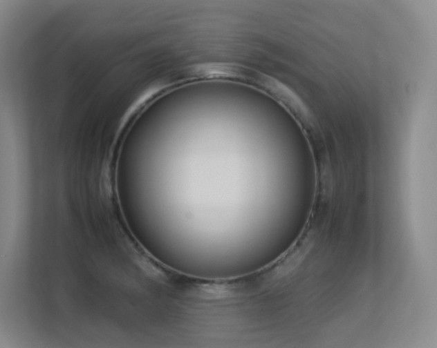 X0000113211182200909101126
