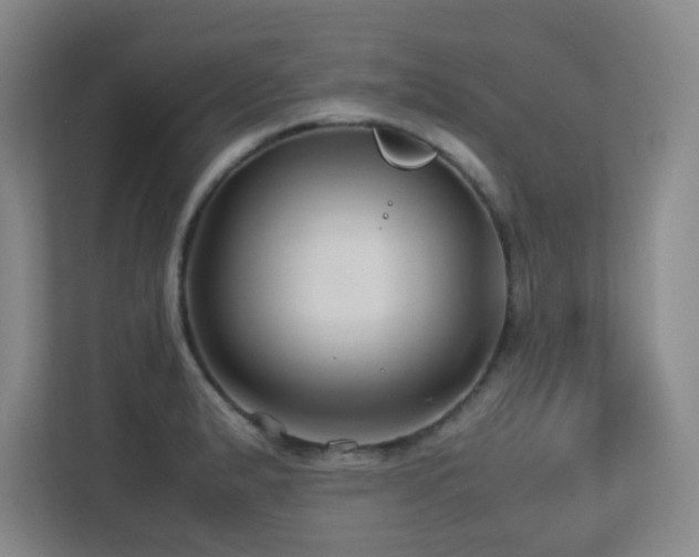 X0000113211183200909101126