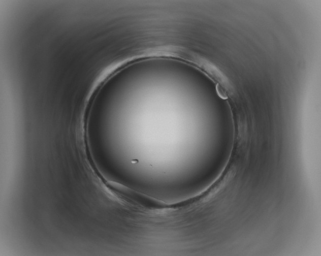 X0000113211184200909101126