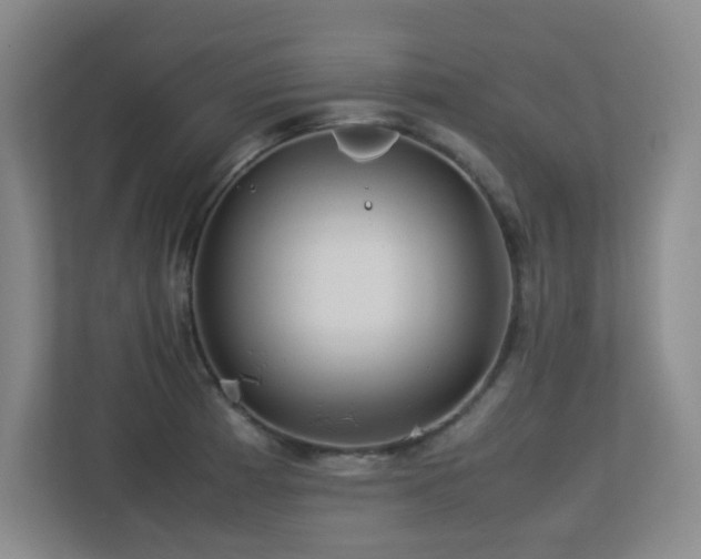 X0000113211185200909101126