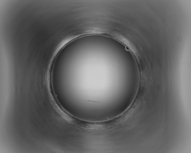 X0000113211187200909101126