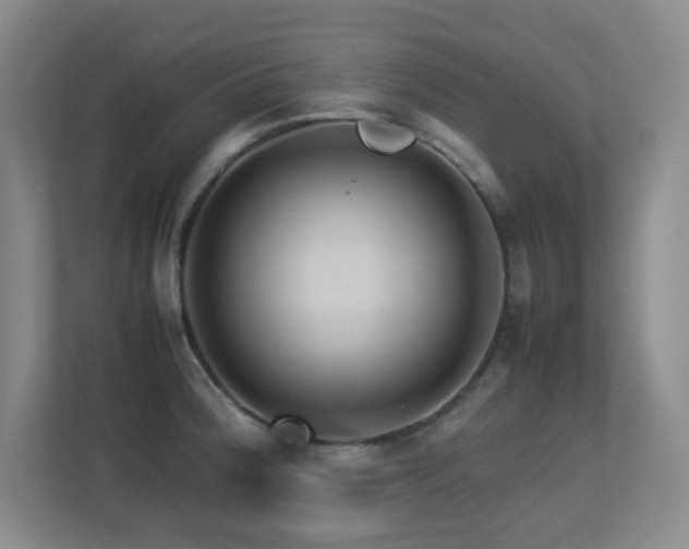 X0000113211188200909101126