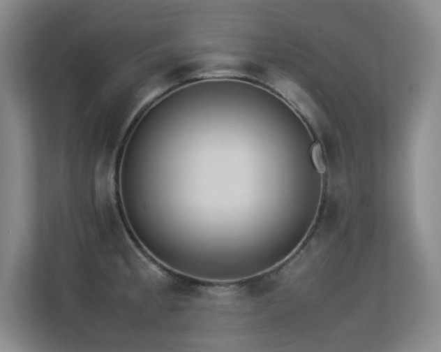 X0000113211189200909101126