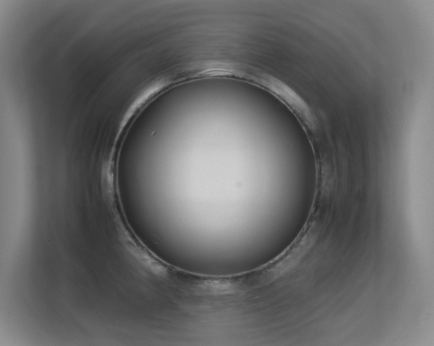 X0000113211190200909101126