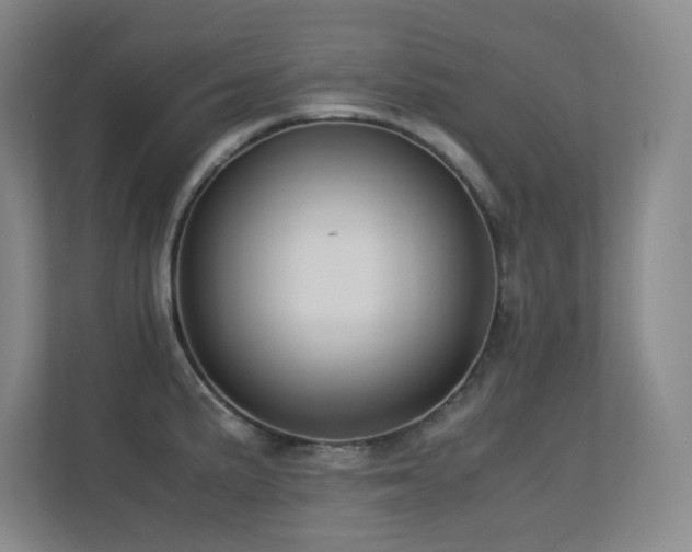 X0000113211191200909101126