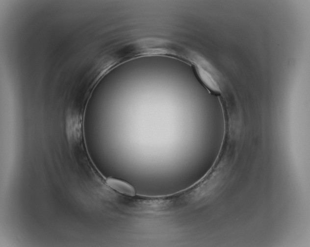 X0000113211193200909101126