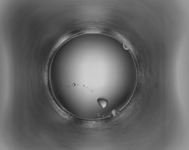 X0000113211195200909101126