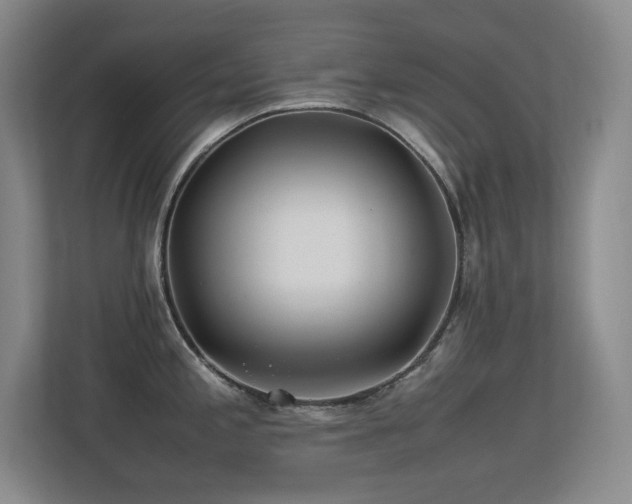 X0000113211197200909101126
