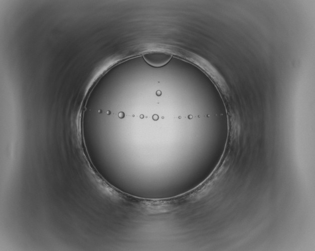 X0000113211198200909101126