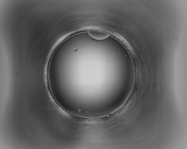 X0000113211199200909101125