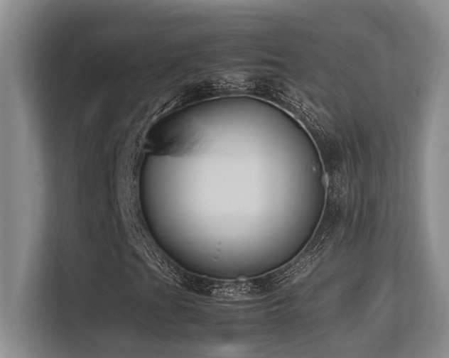 X0000113211201200909101125
