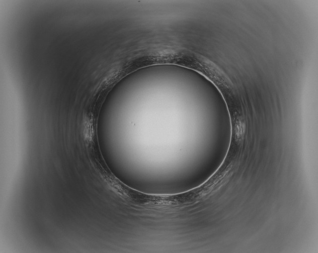 X0000113211204200909101125