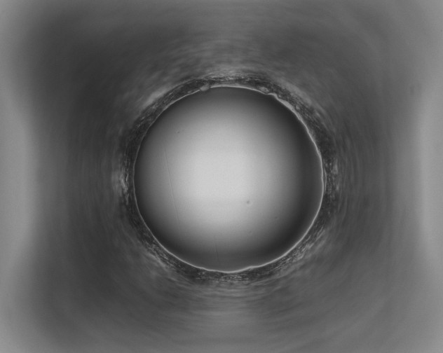 X0000113211206200909101125