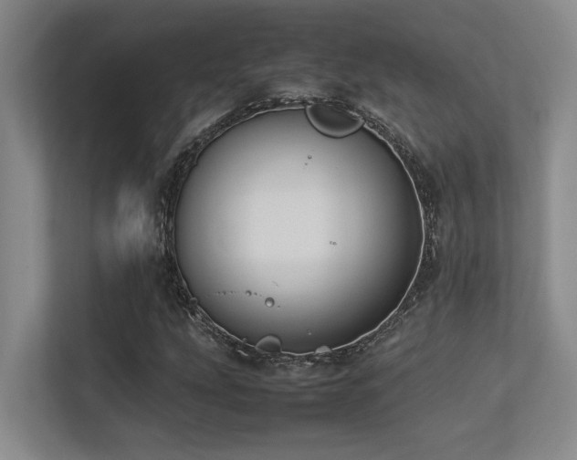 X0000113211207200909101125