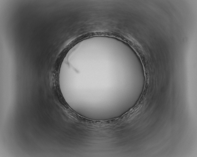 X0000113211208200909101125