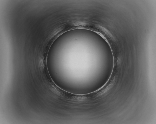 X0000113211209200909101125