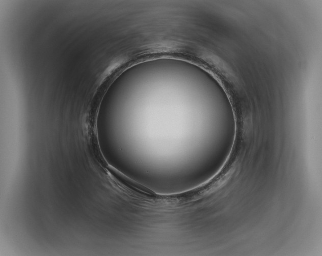 X0000113211210200909101125