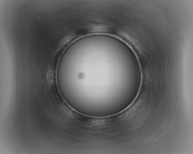 X0000113211211200909101125