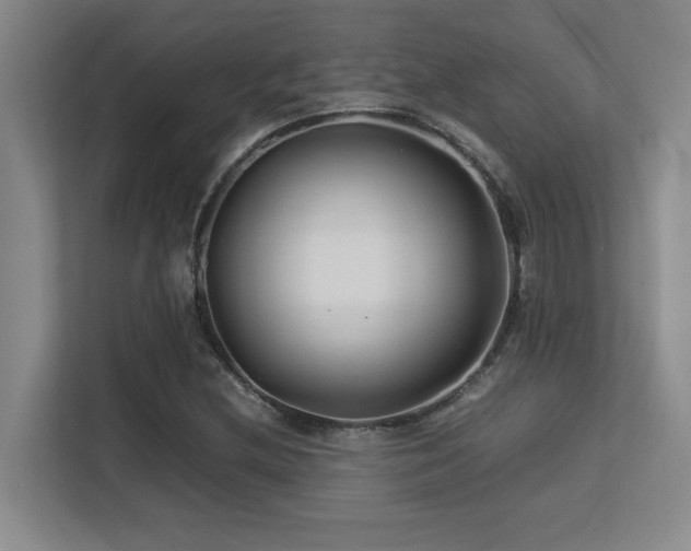 X0000113211212200909101125