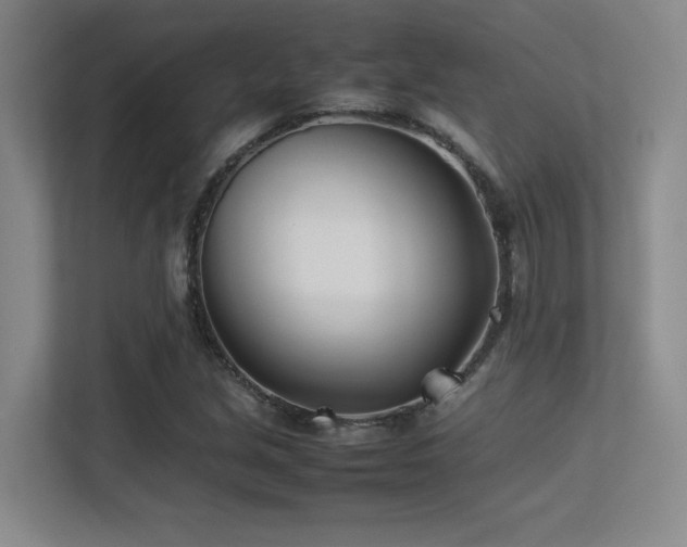 X0000113211213200909101125
