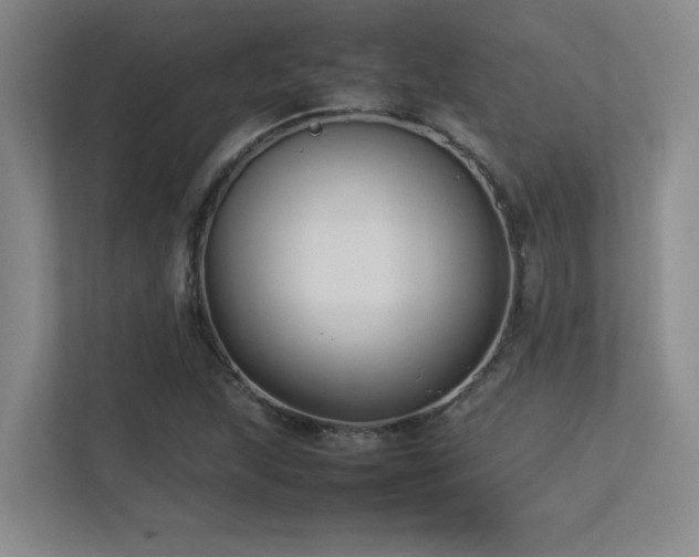 X0000113211215200909101125