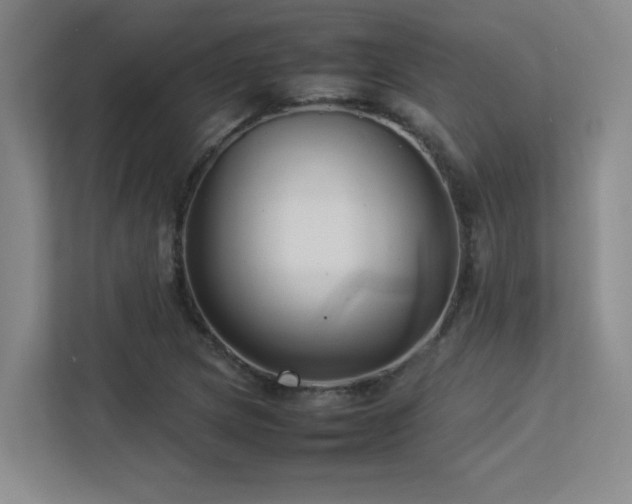 X0000113211217200909101125