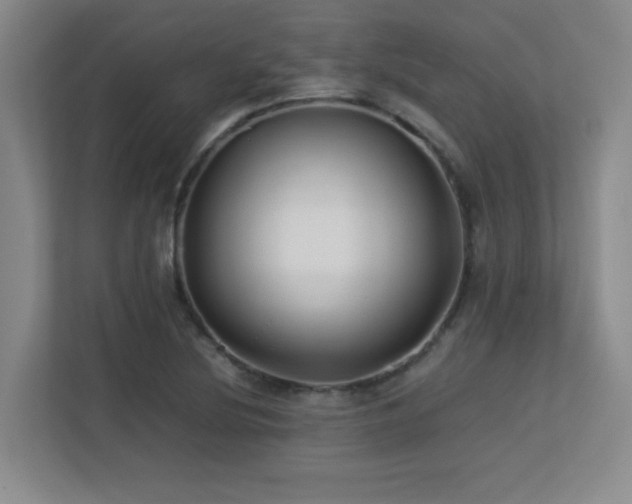X0000113211220200909101125