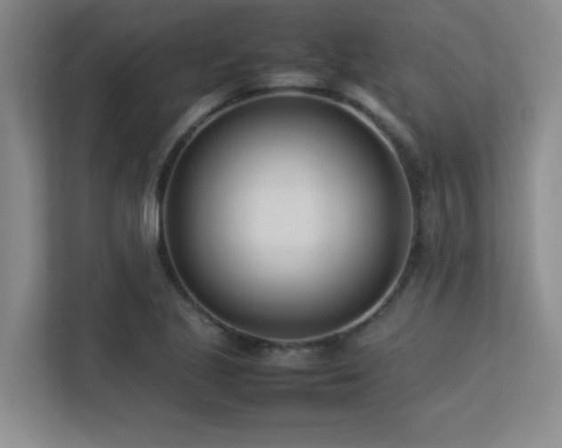 X0000113211221200909101125