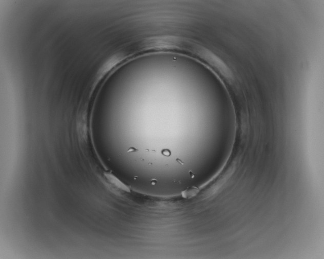 X0000113211226200909101125