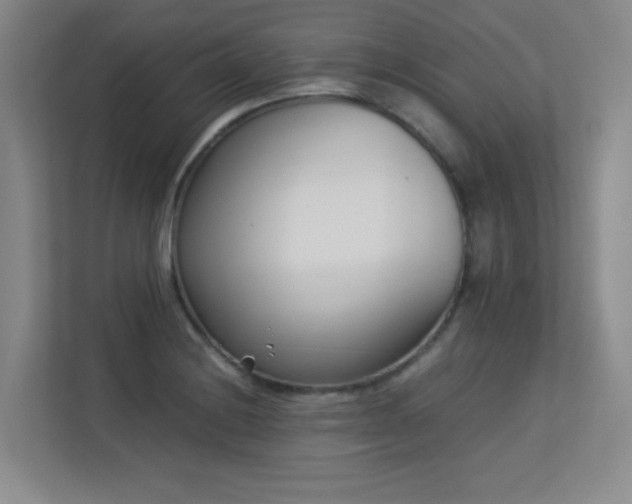 X0000113211228200909101125