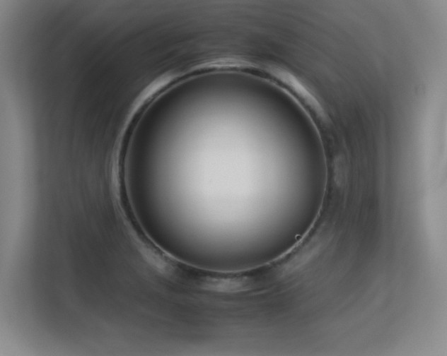 X0000113211229200909101125