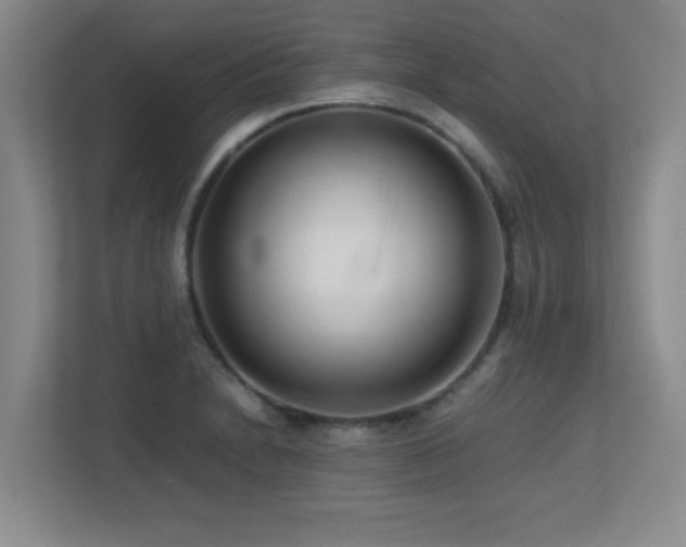 X0000113211230200909101125