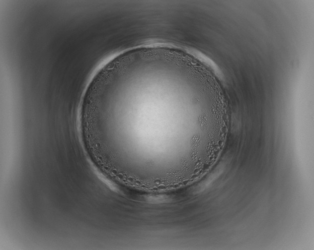 X0000113211231200909101125