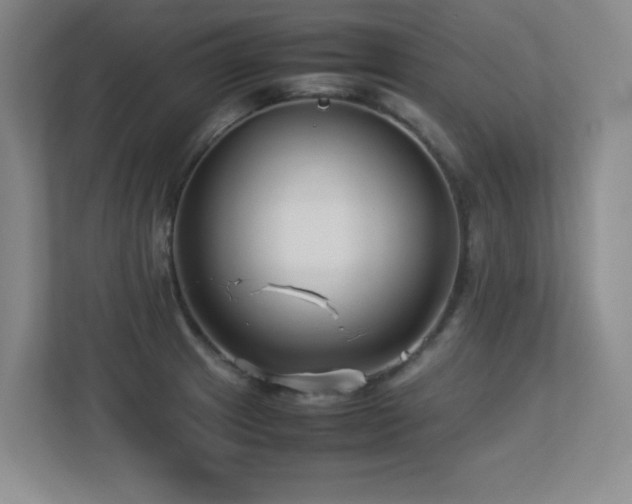 X0000113211233200909101125