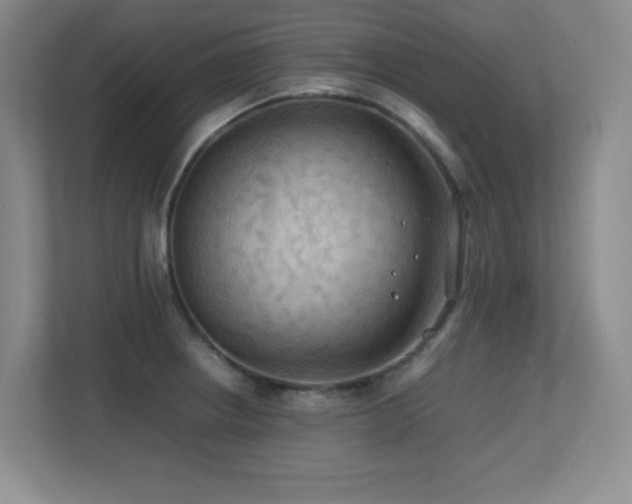 X0000113211234200909101125